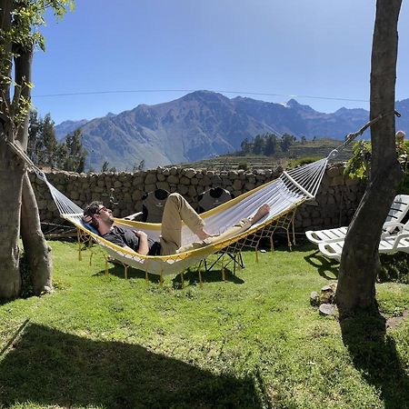 La Casa De Santiago Hotel Cabanaconde Dış mekan fotoğraf